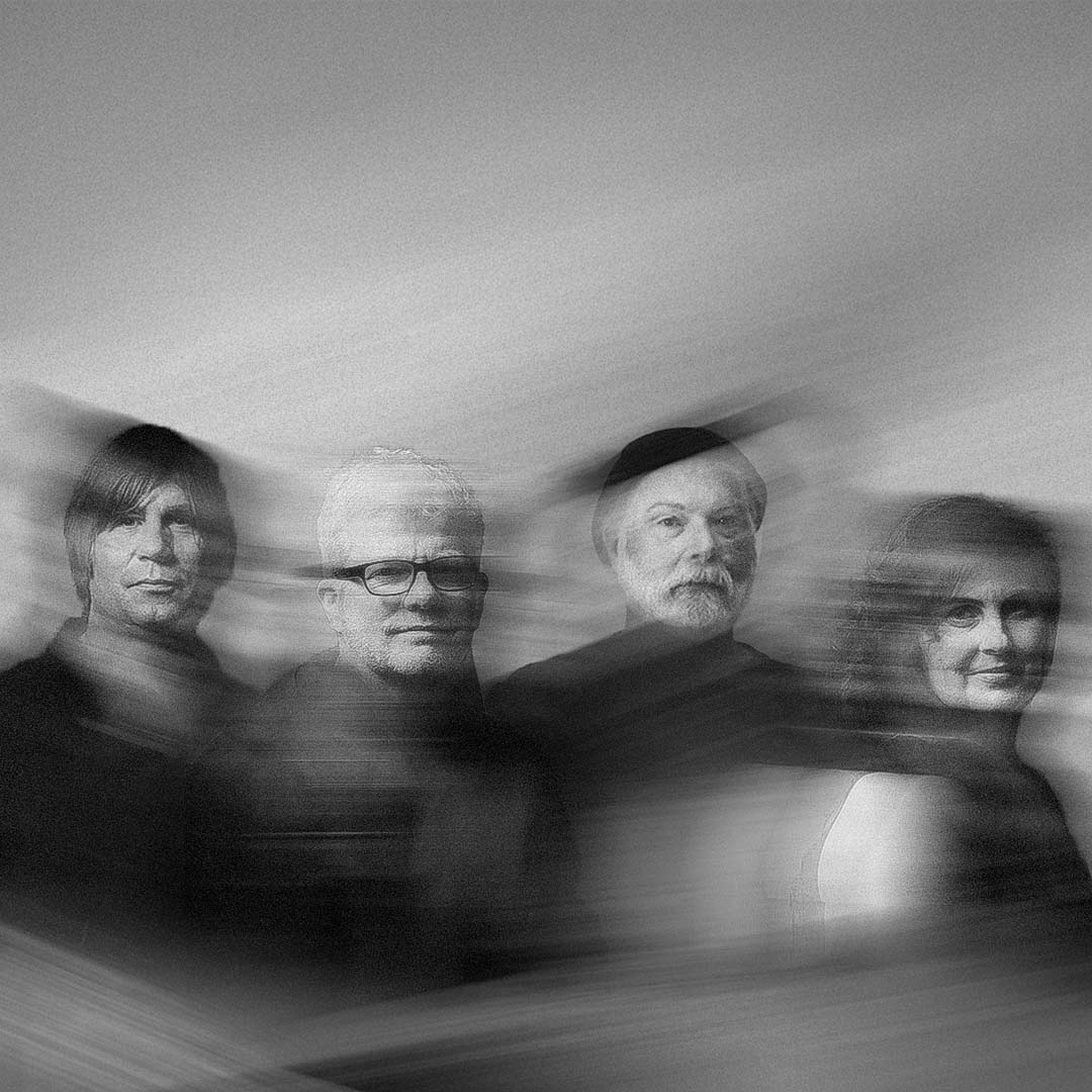 The New Pornographers