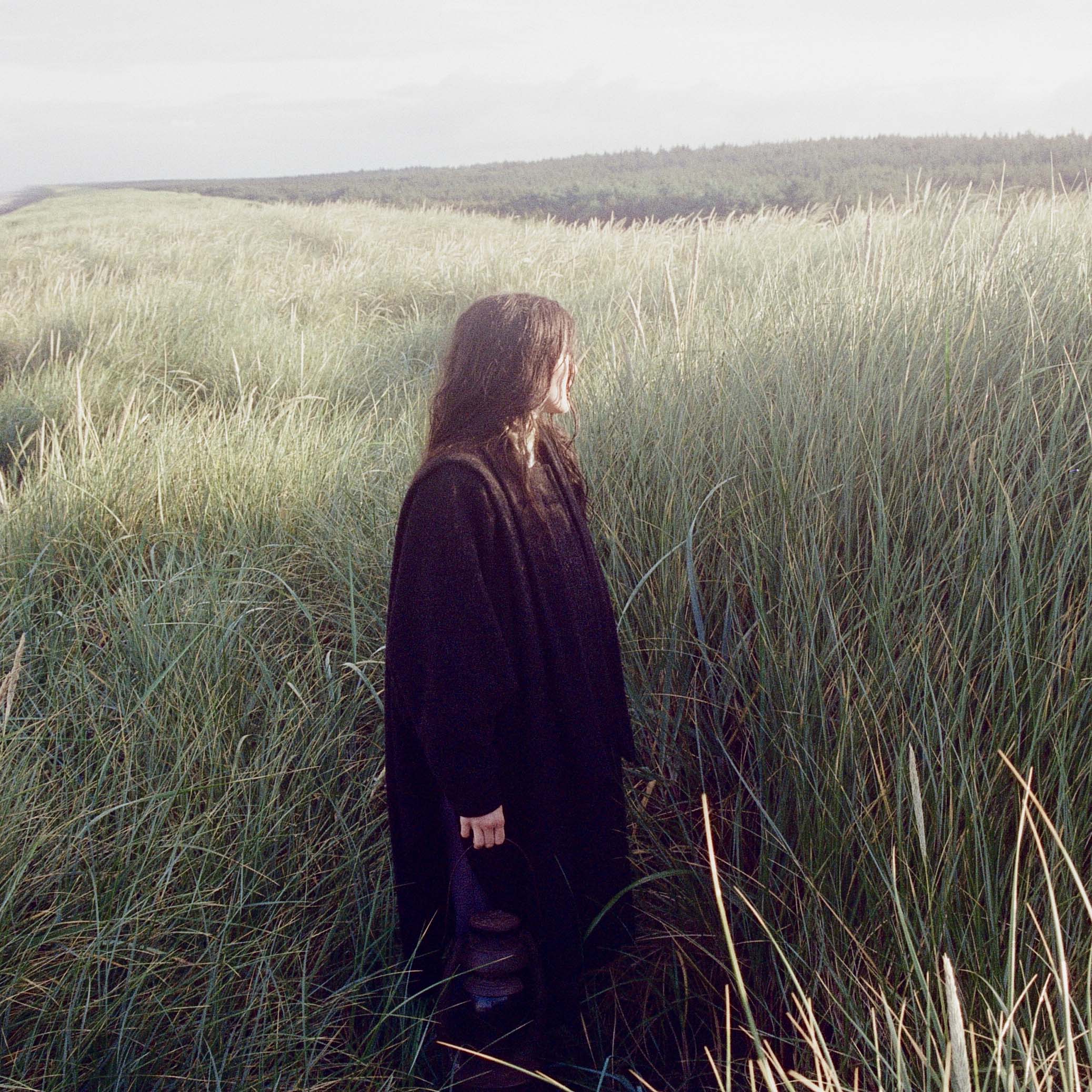 Searows: Death in the Business of Whaling